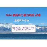 2024惊爆冷门暴利！出行高峰来袭，里程积分，高爆发期，一单300-2000+