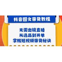 抖音图文&带货实操：无需出镜直播，从选品到开单，掌握短视频带货秘诀