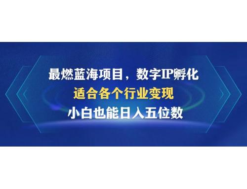 (10.13)最燃蓝海项目  数字IP孵化  适合各个行业变现  小白也能日入5位数