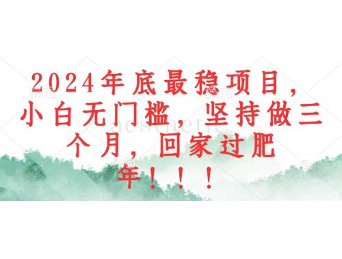 (10.16)2024年底最稳项目，小白无门槛，坚持做三个月，回家过肥年
