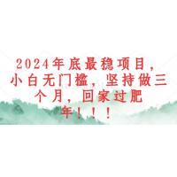 (10.16)2024年底最稳项目，小白无门槛，坚持做三个月，回家过肥年