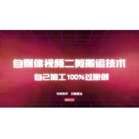 (10.17)详细教你自媒体视频二剪搬运技术，自己加工100%过原创，无脑搬运