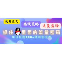 (10.23)流量蓝海，抓住QQ里面的流量密码！高效策略，单日狂揽500+精准创业粉