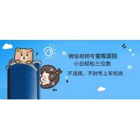 (10.27)2024最新微信视频号变现项目，小白轻松月入四位数