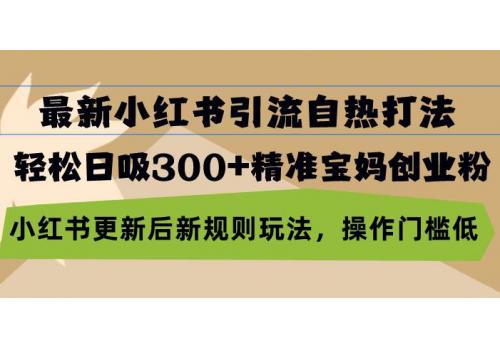 (10.29)最新小红书引流自热打法，轻松日吸300+精准宝妈创业粉，小红书更新后新