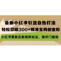 (10.29)最新小红书引流自热打法，轻松日吸300+精准宝妈创业粉，小红书更新后新