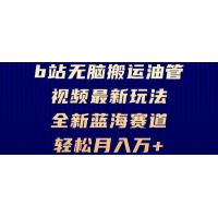 (10.30)B站无脑搬运油管视频最新玩法，轻松月入过万，小白轻松上手，全新蓝海赛道