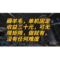 (10.31)薅羊毛项目，单机三十元，做就有，可无限矩阵 无任何难度