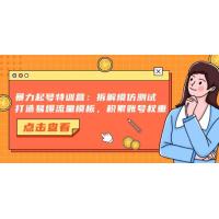 (11.4)暴力起号特训营：拆解模仿测试，打造易爆流量模板，积累账号权重