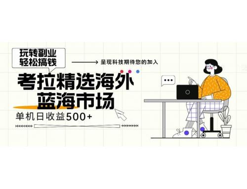 (11.5)海外全新空白市场，小白也可轻松上手，年底最后红利