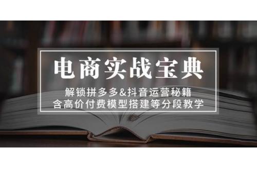 (11.5)电商实战宝典 解锁拼多多&抖音运营秘籍 含高价付费模型搭建等分段教学