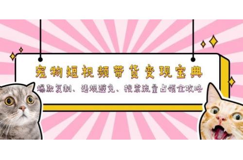 (11.7)宠物短视频带货变现宝典：爆款复制、违规避免、搜索流量占领全攻略