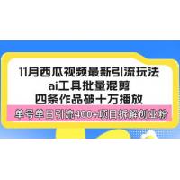(11.8)西瓜视频最新玩法，全新蓝海赛道，简单好上手，单号单日轻松引流400+