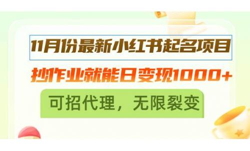 (11.10)11月份最新小红书起名项目，抄作业就能日变现1000+，可招代理，无限裂变