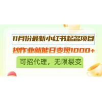 (11.10)11月份最新小红书起名项目，抄作业就能日变现1000+，可招代理，无限裂变
