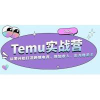 (11.12)2024Temu实战营：从零开始打造跨境电商，增加收入，出海赚美金