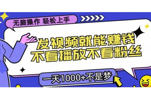 (11.13)无脑操作，只要发视频就能赚钱？不看播放不看粉丝，小白轻松上手，一天