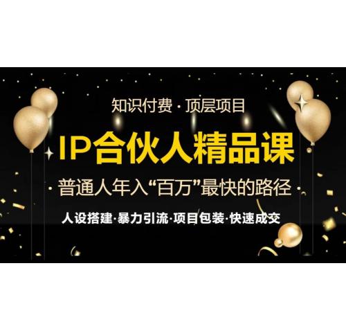 (11.13)IP合伙人最新精品课程，知识付费全流程+最强引流术+小白避坑指南