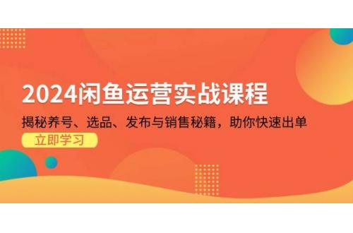 (11.13)2024闲鱼运营实战课程：揭秘养号、选品、发布与销售秘籍，助你快速出单
