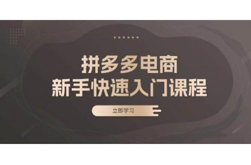 (11.13)拼多多电商新手快速入门课程：涵盖基础、实战与选款，助力小白轻松上手