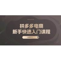 (11.13)拼多多电商新手快速入门课程：涵盖基础、实战与选款，助力小白轻松上手