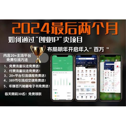 (11.15)2024最后两个月如何通过”创业IP“卖项目年入”百万“,创业IP+最强引流