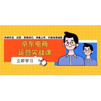 (11.17)京东电商运营实战课，传授开店、运营、营销技巧，快速上手，打造电商爆款