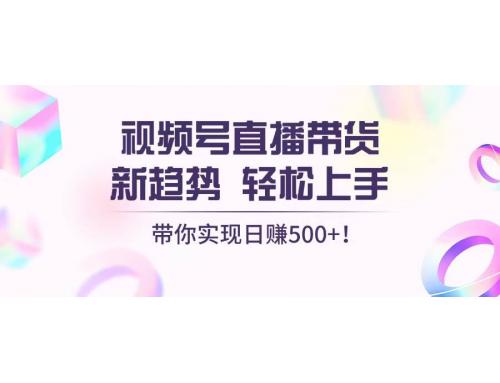 (11.20)视频号直播带货新趋势，轻松上手，带你实现日赚500+