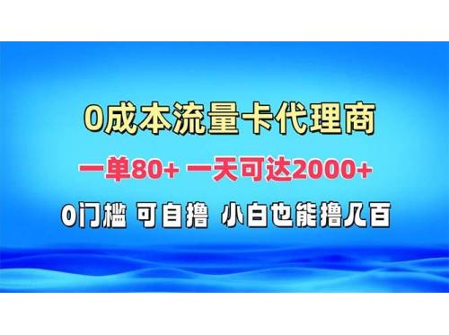 (11.21)免费流量卡代理一单80+ 一天可达2000+