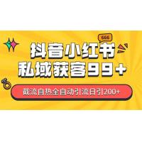 (11.24)某音，小红书，野路子引流玩法截流自热一体化日引200+精准粉 单日变现