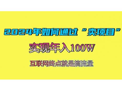 (11.24)2024年如何通过“卖项目”赚取100W：最值得尝试的盈利模式