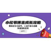 (11.25)小红书博主成长攻略：精准定位与起号，人设打造与选题，快速涨粉变现
