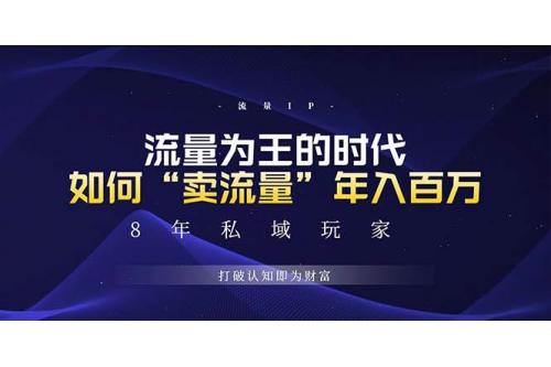 (11.25)未来如何通过“卖流量”年入百万，跨越一切周期绝对蓝海项目