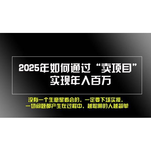 (11.28)2025年如何通过“卖项目”实现年入百万，做网赚必看