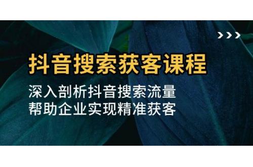 (11.28)抖音搜索获客课程：深入剖析抖音搜索流量，帮助企业实现精准获客