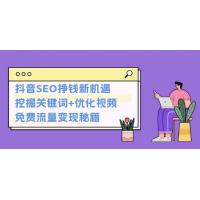 (11.29)抖音SEO挣钱新机遇：挖掘关键词+优化视频，免费流量变现秘籍
