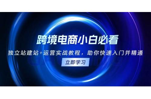 (11.30)跨境电商小白必看！独立站建站+运营实战教程，助你快速入门并精通