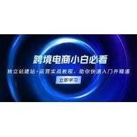 (11.30)跨境电商小白必看！独立站建站+运营实战教程，助你快速入门并精通