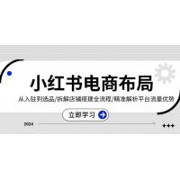 (12.2)小红书电商布局：从入驻到选品/拆解店铺搭建全流程/精准解析平台流量优势