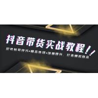 (12.3)抖音带货实战教程：起号转号技巧+爆品选择+流量提升，打造爆款商品
