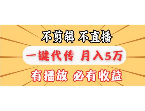 (12.5)不剪辑不直播，一键代发，月入5万懒人必备，我出视频你来发
