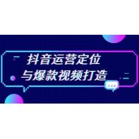 (12.5)抖音运营定位与爆款视频打造：定位运营方向，挖掘爆款选题，提升播放量