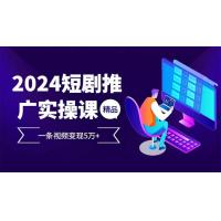 (12.5)2024最火爆的项目短剧推广实操课 一条视频变现5万+(附软件工具)