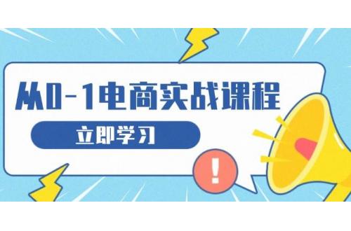(12.9)从零做电商实战课程，教你如何获取访客、选品布局，搭建基础运营团队