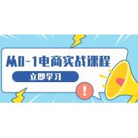 (12.9)从零做电商实战课程，教你如何获取访客、选品布局，搭建基础运营团队