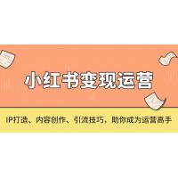 (12.10)小红书变现运营，IP打造、内容创作、引流技巧，助你成为运营高手