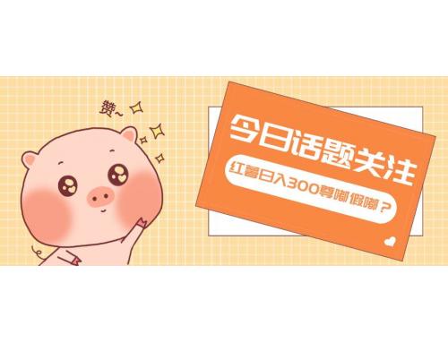 (12.11)全新红薯浏览，打破常规 双端操作，每天运行6小时，让你获得工作以外的