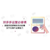 (12.13)拼多多运营必修课：涵盖底层逻辑到活动起爆，全方位提升运营能力