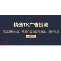 (12.13)精通TK广告投流：底层逻辑介绍，掌握广告类型与投法，提升效果