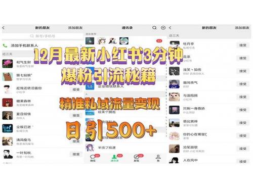 (12.14)12月最新小红书3分钟爆粉引流秘籍 精准私域流量变现 日引500+